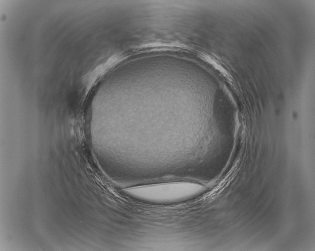 X0000062651357200601040907