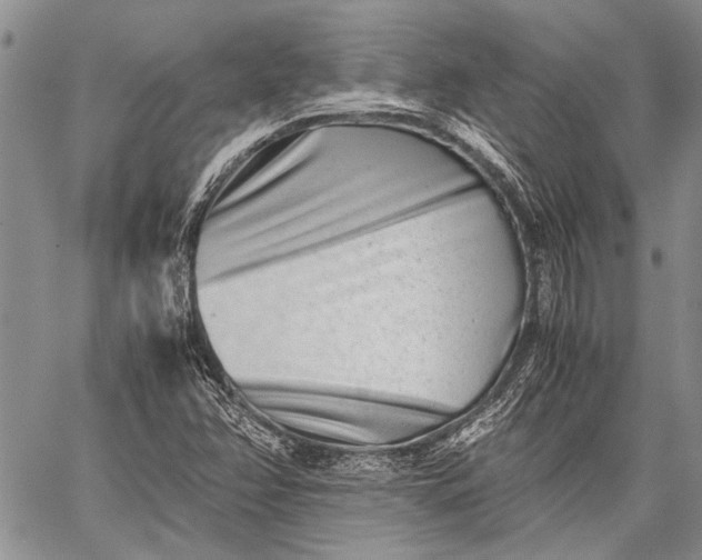 X0000062651358200601040907