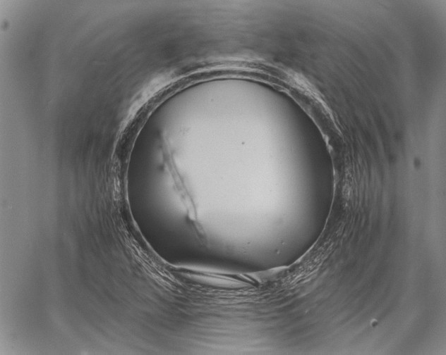 X0000062651360200601040907