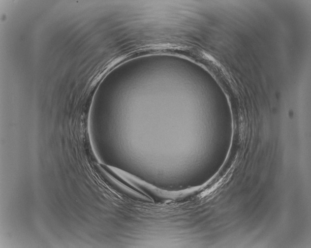 X0000062651361200601040907