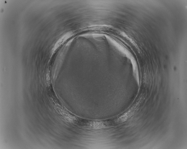 X0000062651362200601040907