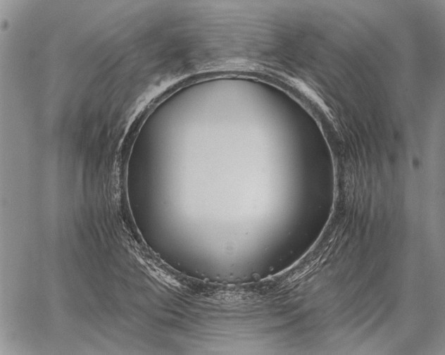 X0000062651364200601040907