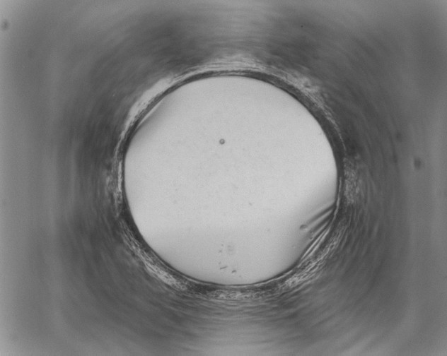 X0000062651366200601040907