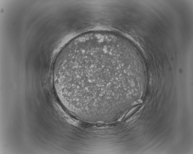 X0000062651367200601040907