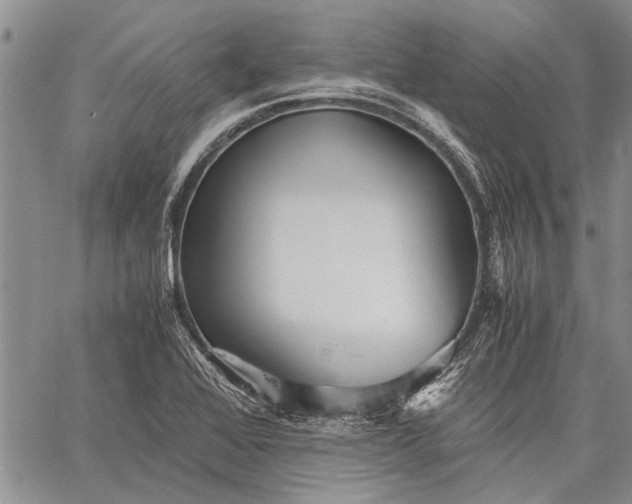 X0000062651368200601040907