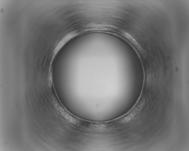 X0000062651370200601040907