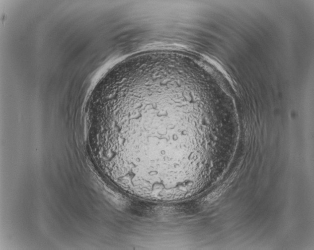 X0000062651371200601040907