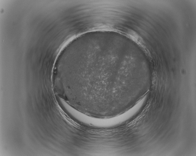 X0000062651372200601040907