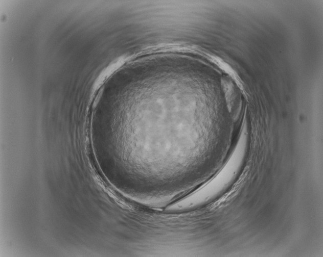 X0000062651373200601040907