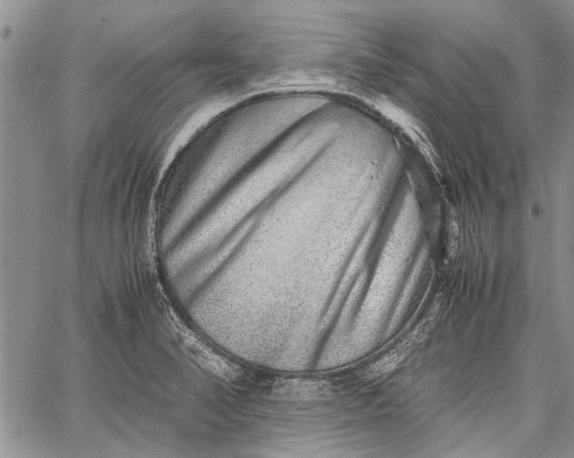 X0000062651374200601040907