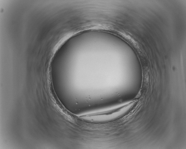 X0000062651375200601040907