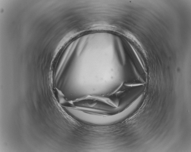 X0000062651376200601040907