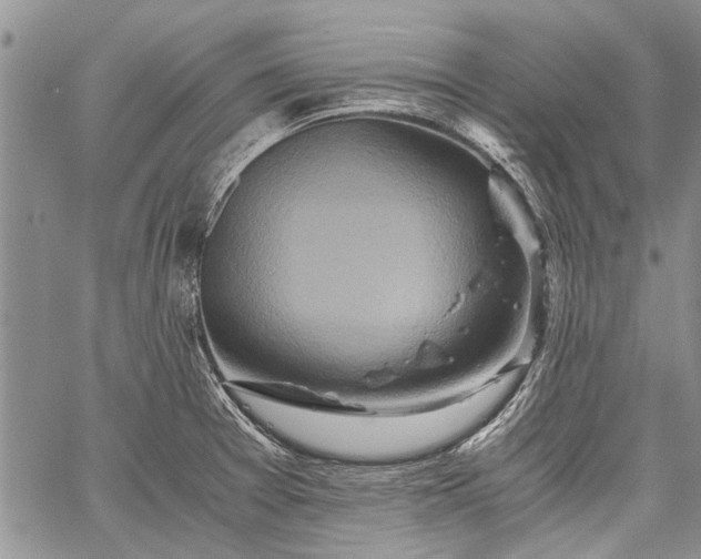 X0000062651377200601040907