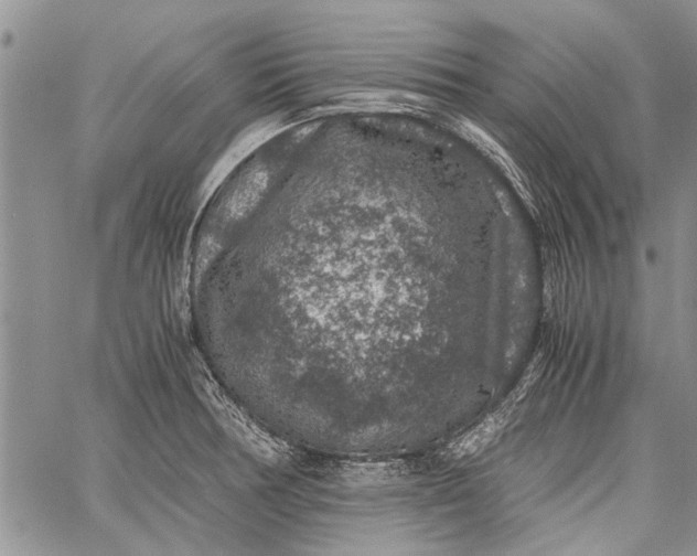 X0000062651378200601040907