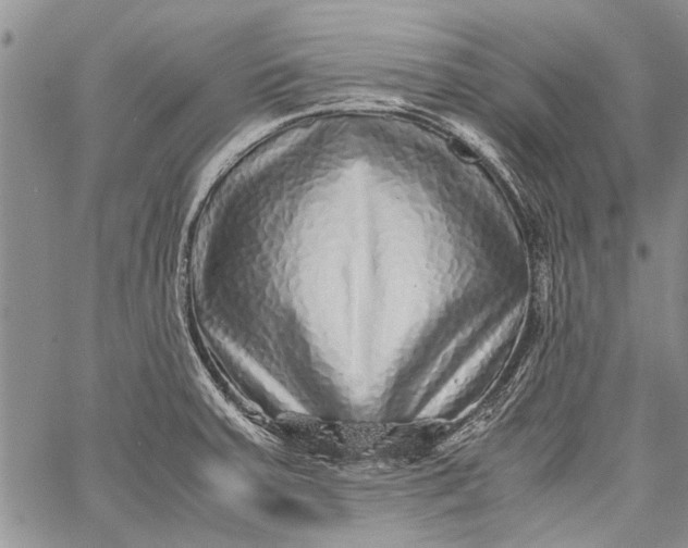 X0000062651379200601040907