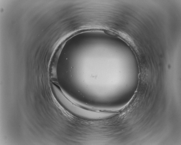 X0000062651380200601040907