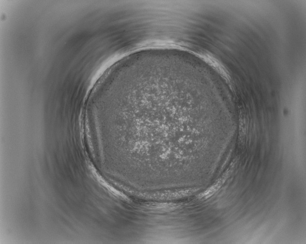 X0000062651382200601040907