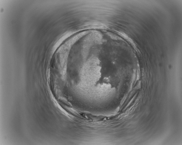 X0000062651383200601040907