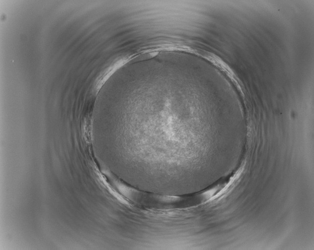 X0000062651385200601040907