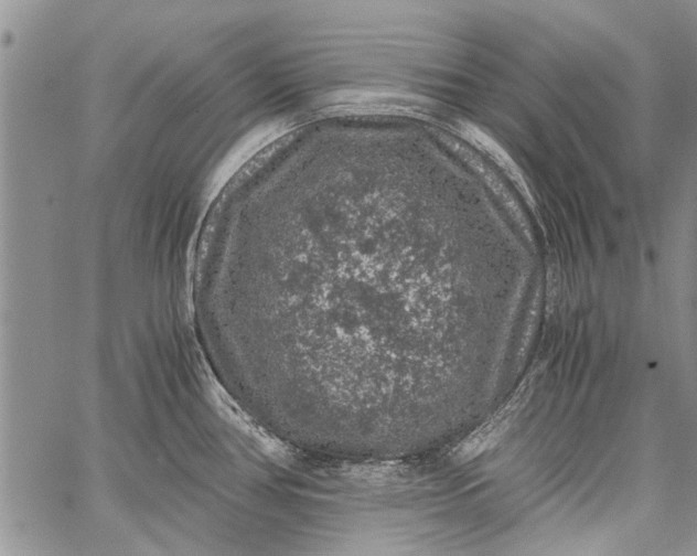 X0000062651386200601040907