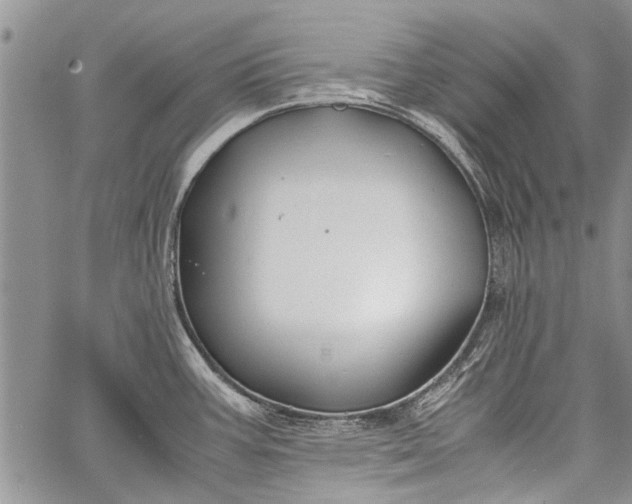 X0000062651387200601040907