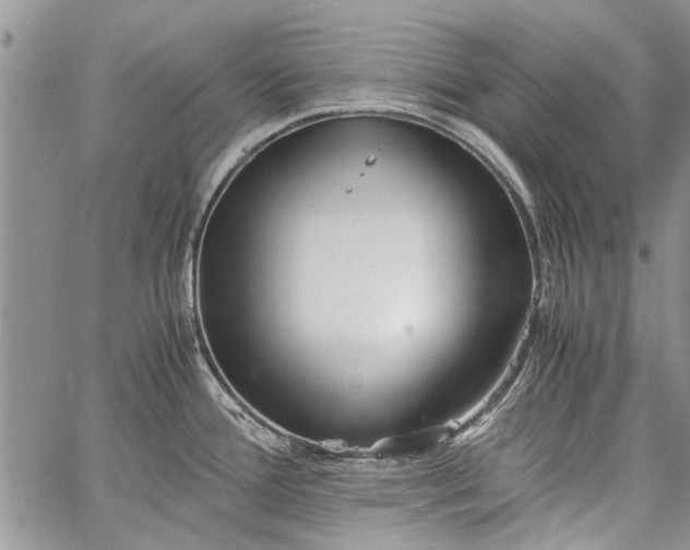 X0000062651388200601040907