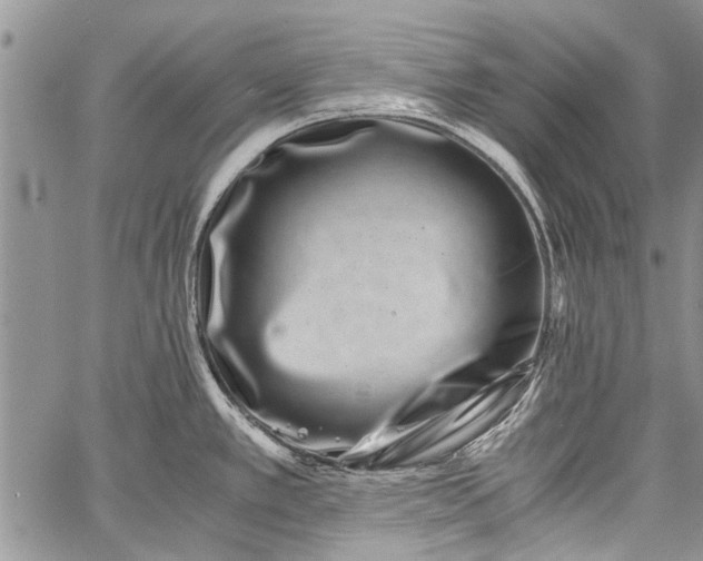 X0000062651389200601040907