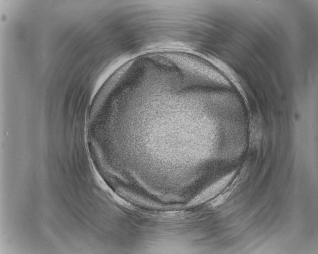 X0000062651390200601040907