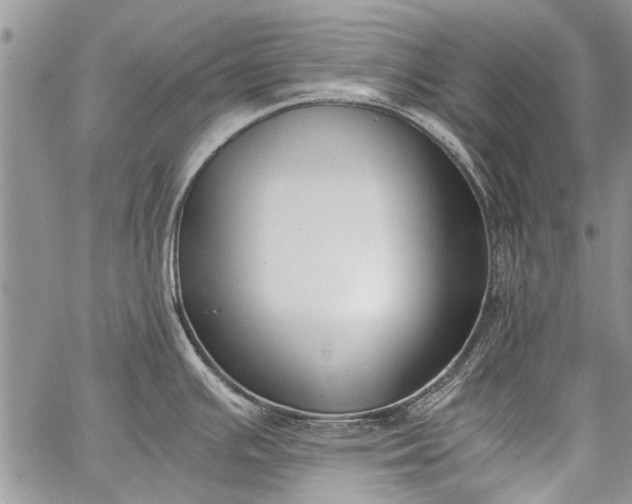 X0000062651391200601040907