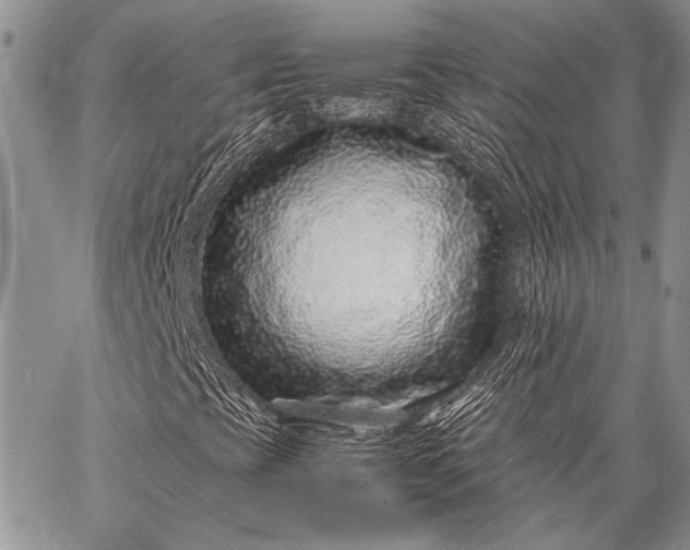 X0000062651393200601040906