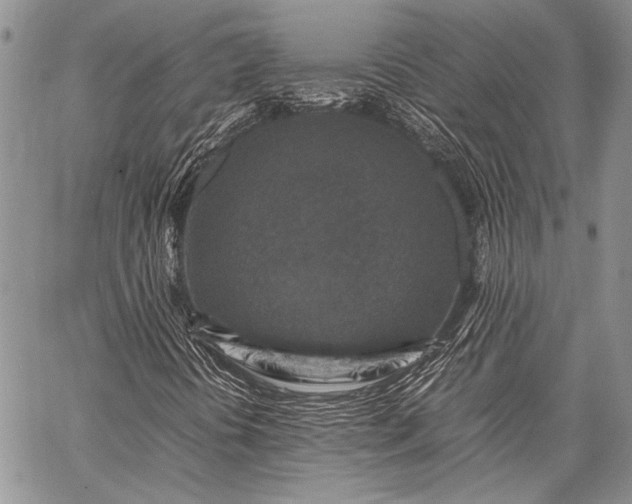 X0000062651394200601040906