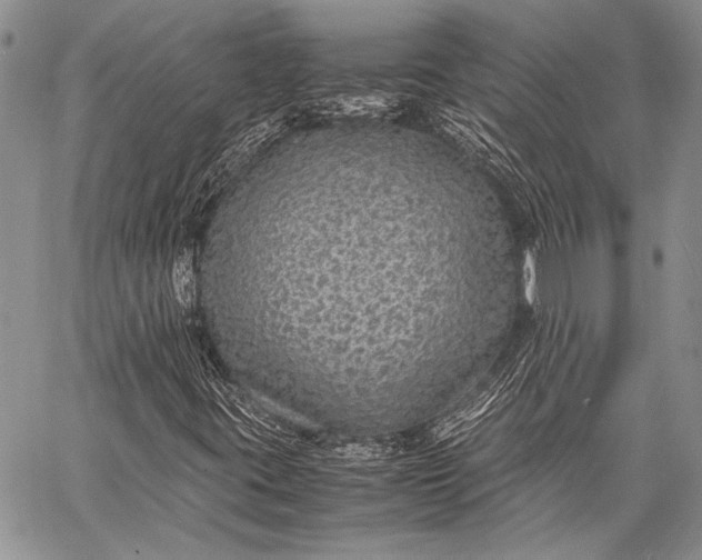 X0000062651395200601040906