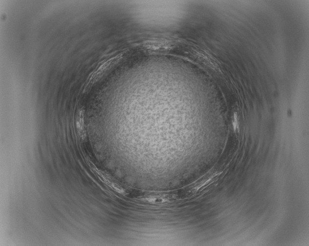 X0000062651396200601040906