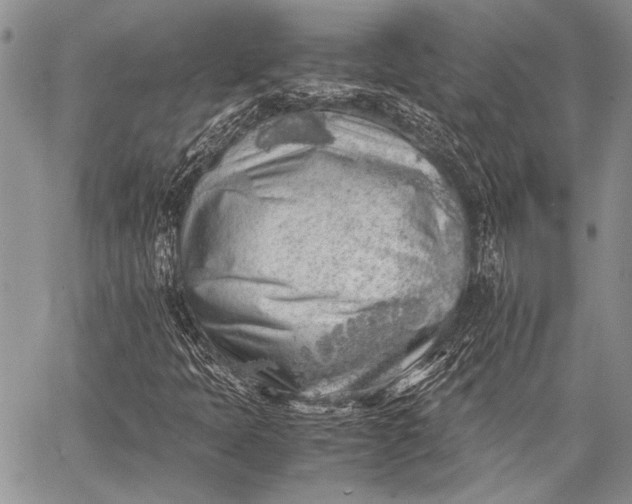 X0000062651397200601040906