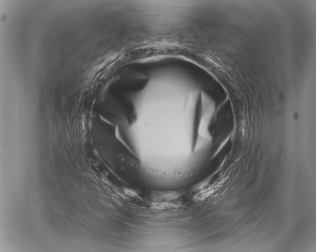 X0000062651398200601040906