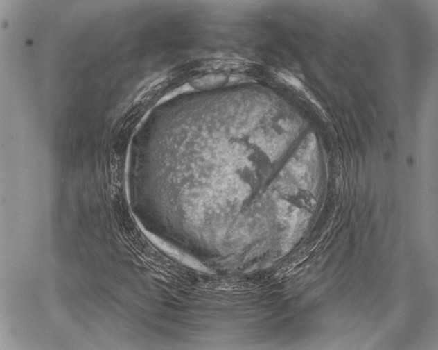 X0000062651399200601040906