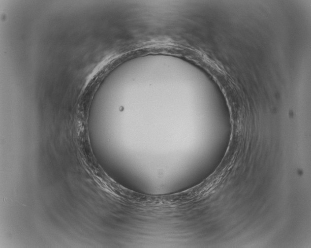 X0000062651400200601040906