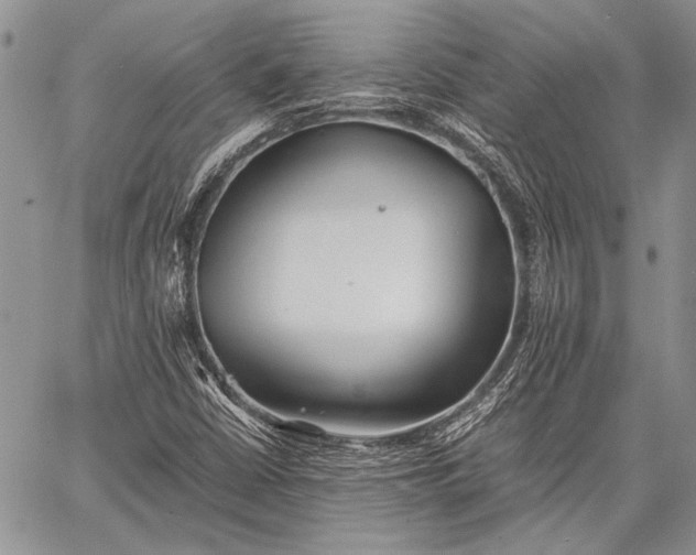 X0000062651402200601040906