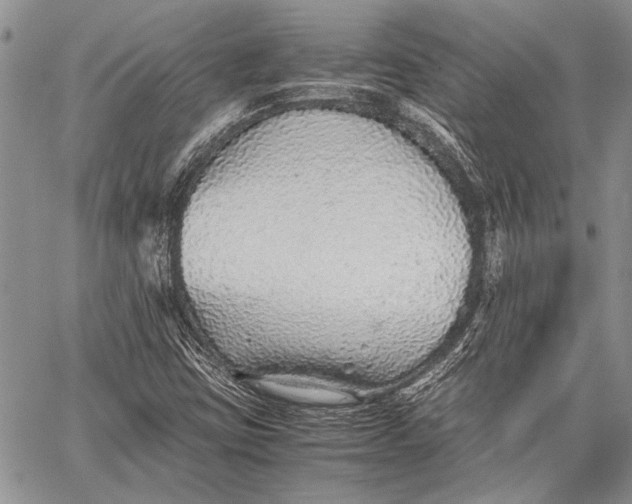 X0000062651403200601040906