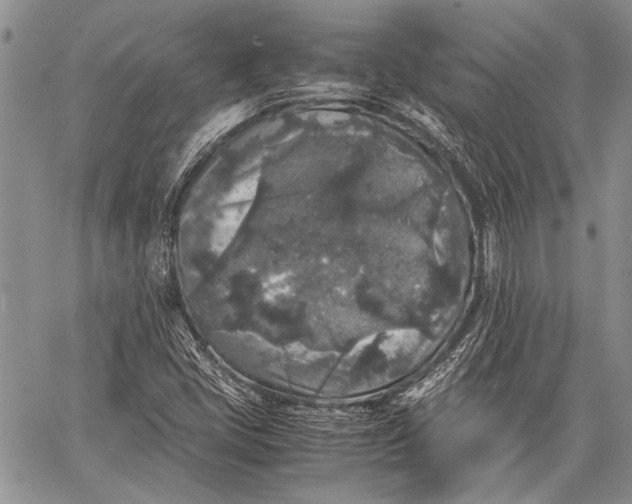 X0000062651405200601040906