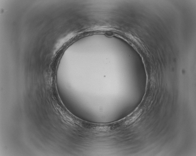 X0000062651406200601040906