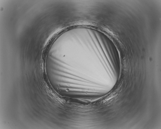 X0000062651408200601040906