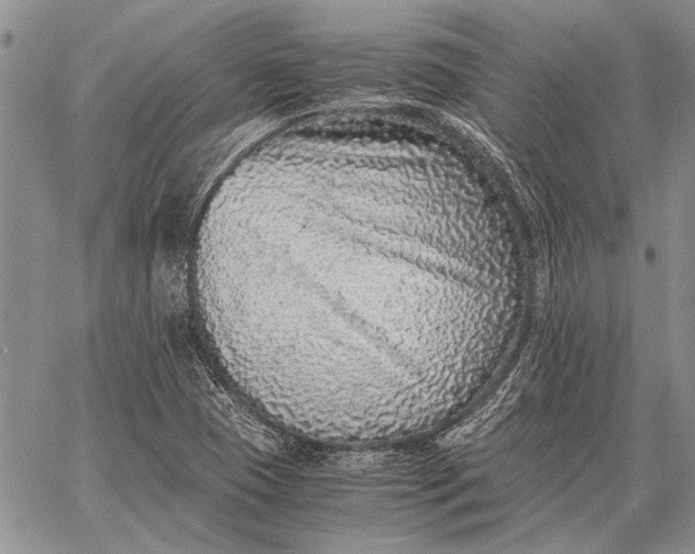 X0000062651409200601040906