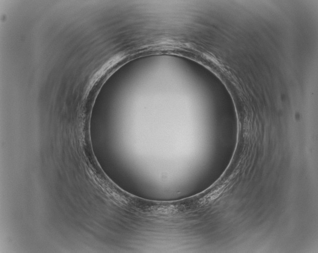 X0000062651410200601040906