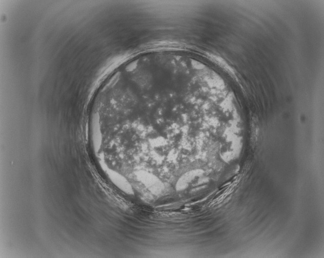 X0000062651413200601040906