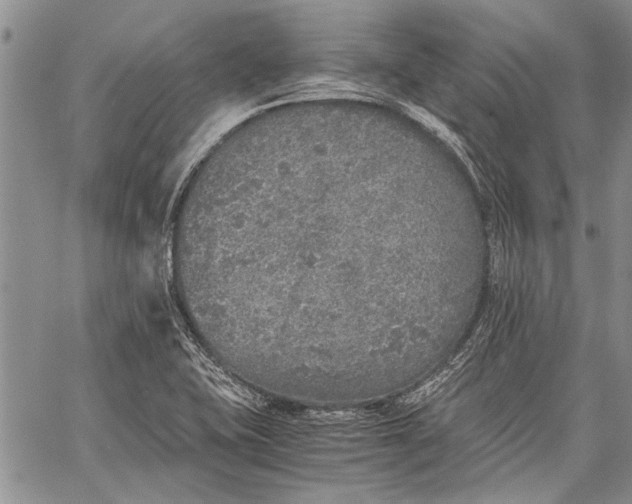 X0000062651415200601040906