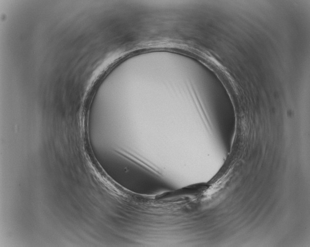 X0000062651416200601040906