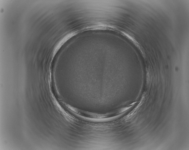 X0000062651418200601040906