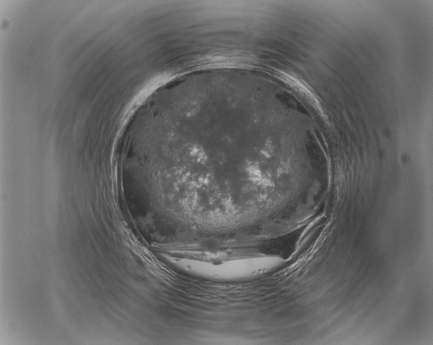 X0000062651419200601040906