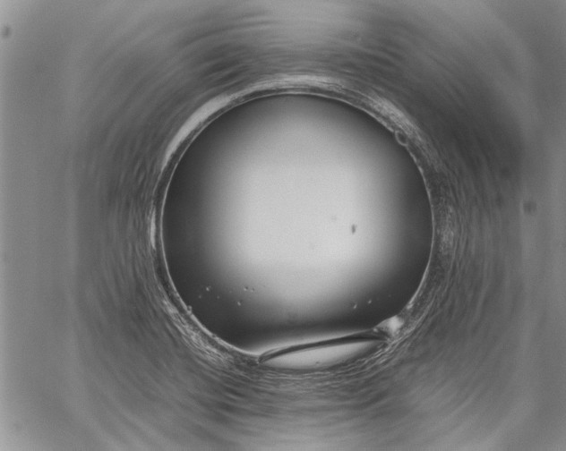 X0000062651420200601040906